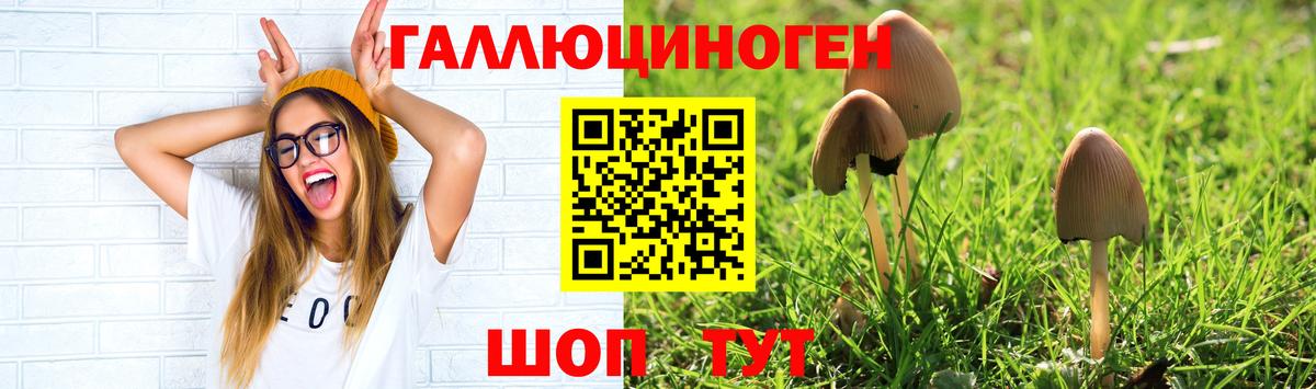 Псилоцибиновые грибы прущие грибы  Вход с VPN  Северск 